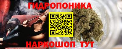 jwh Камышлов