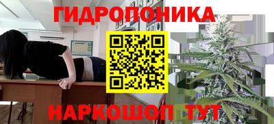 ГАЛЛЮЦИНОГЕННЫЕ ГРИБЫ Канаш