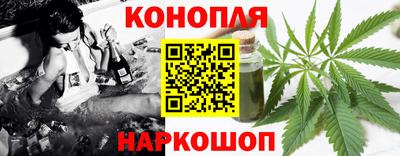 jwh Камышлов