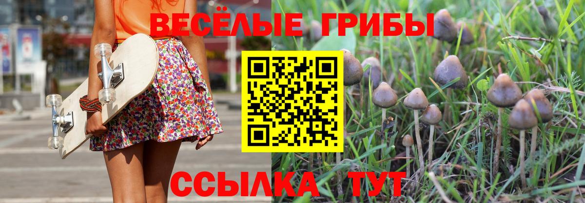 Костомукша  Псилоцибиновые грибы Cubensis  Вход с VPN 
